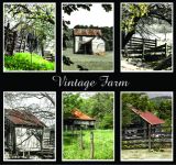 Vintage Farm